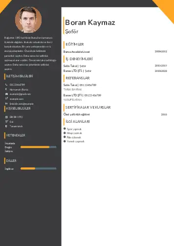cv indir